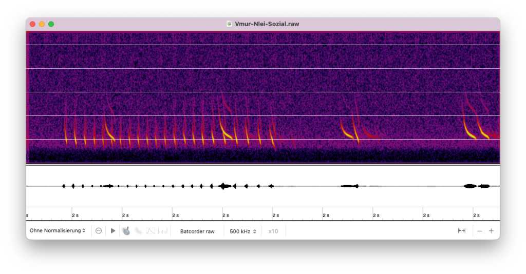 bcAnalyze Hauptfenster